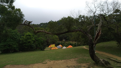 嶂上營地 - 第 15 張圖片