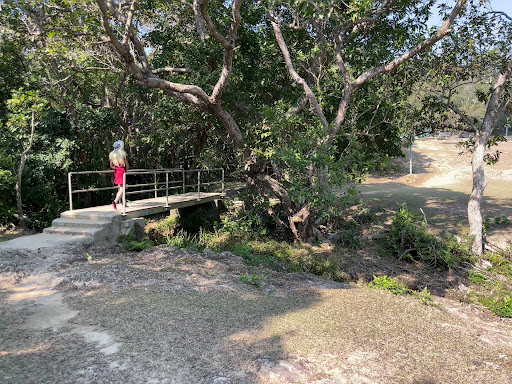 嶂上營地 - 第 17 張圖片