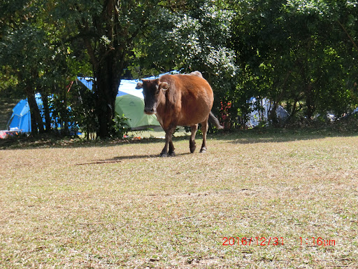 嶂上營地 - 第 4 張圖片