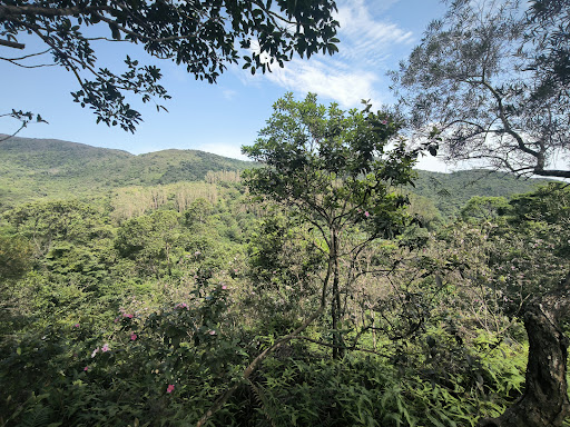 嶂上營地 - 第 5 張圖片