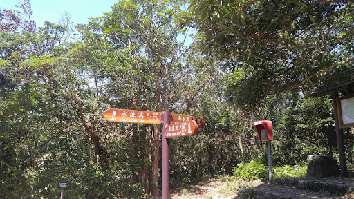 嶂上營地 - 第 8 張圖片