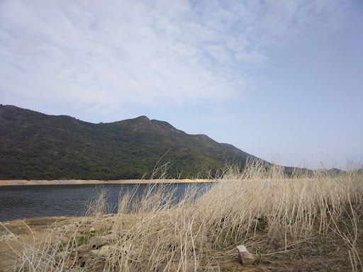 Chung Pui Campsite - Photo 9