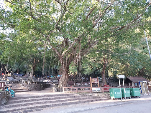 Chung Pui Campsite - Photo 10