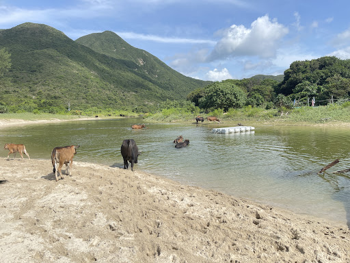 鹹田灣營地 - 第 6 張圖片