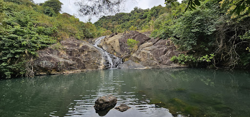 Ho Pui Campsite - Photo 1