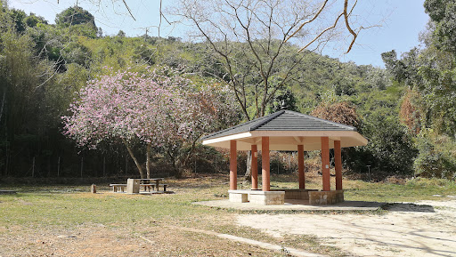 Ho Pui Campsite - Photo 7