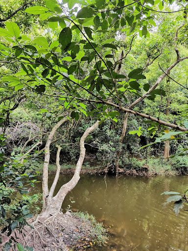 流水响营地 - 第 3 张图片