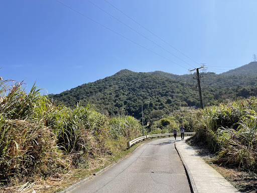 Lead Mine Pass Campsite - Photo 1