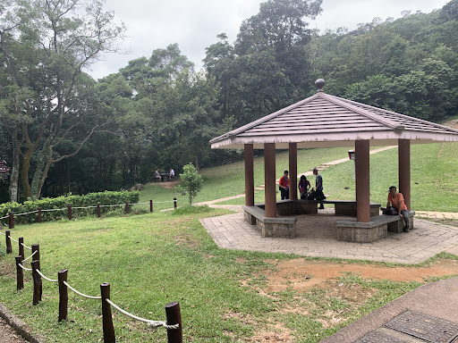 Lead Mine Pass Campsite - Photo 2