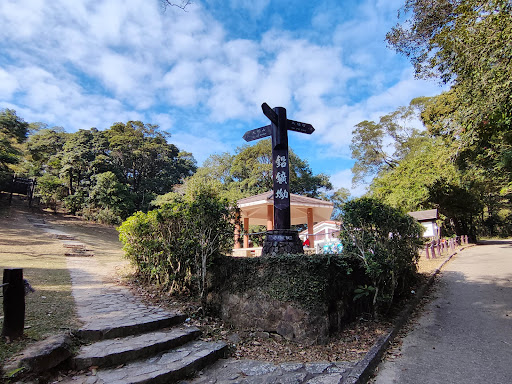 Lead Mine Pass Campsite - Photo 3