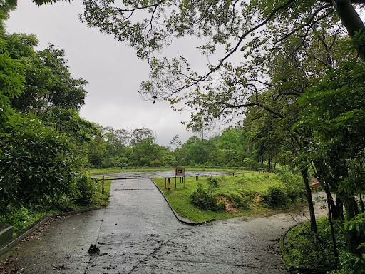 Lead Mine Pass Campsite - Photo 6