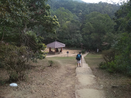 Lead Mine Pass Campsite - Photo 7