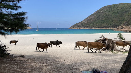 浪茄灣營地 - 第 1 張圖片