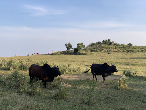 昂平營地（馬鞍山） - 第 5 張圖片
