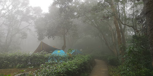 Rotary Club Park Campsite - Photo 5