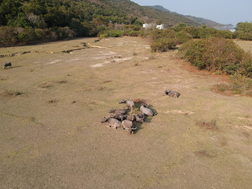 Shap Long Campsite - Photo 1