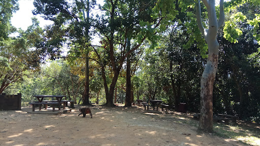 大灘營地 - 第 5 張圖片