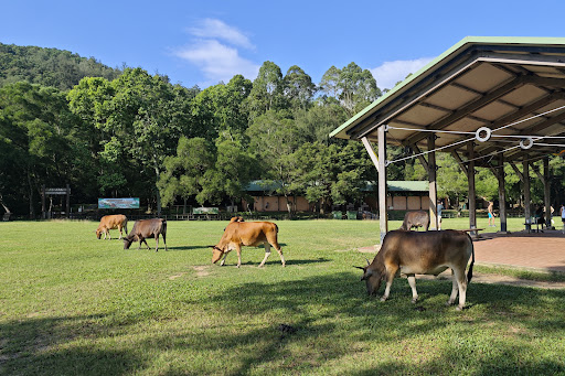 灣仔南營地 - 第 2 張圖片