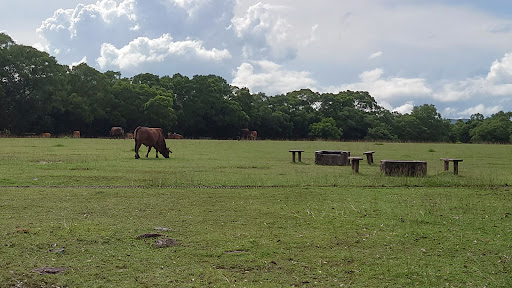 灣仔西營地 - 第 3 張圖片