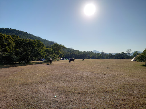 灣仔西營地 - 第 5 張圖片